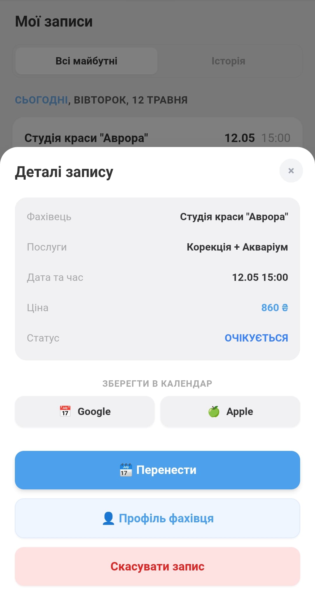 Скріншот модального вікна "Деталі запису"